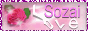 Web�f�ތ��� - �f�ރ��u
